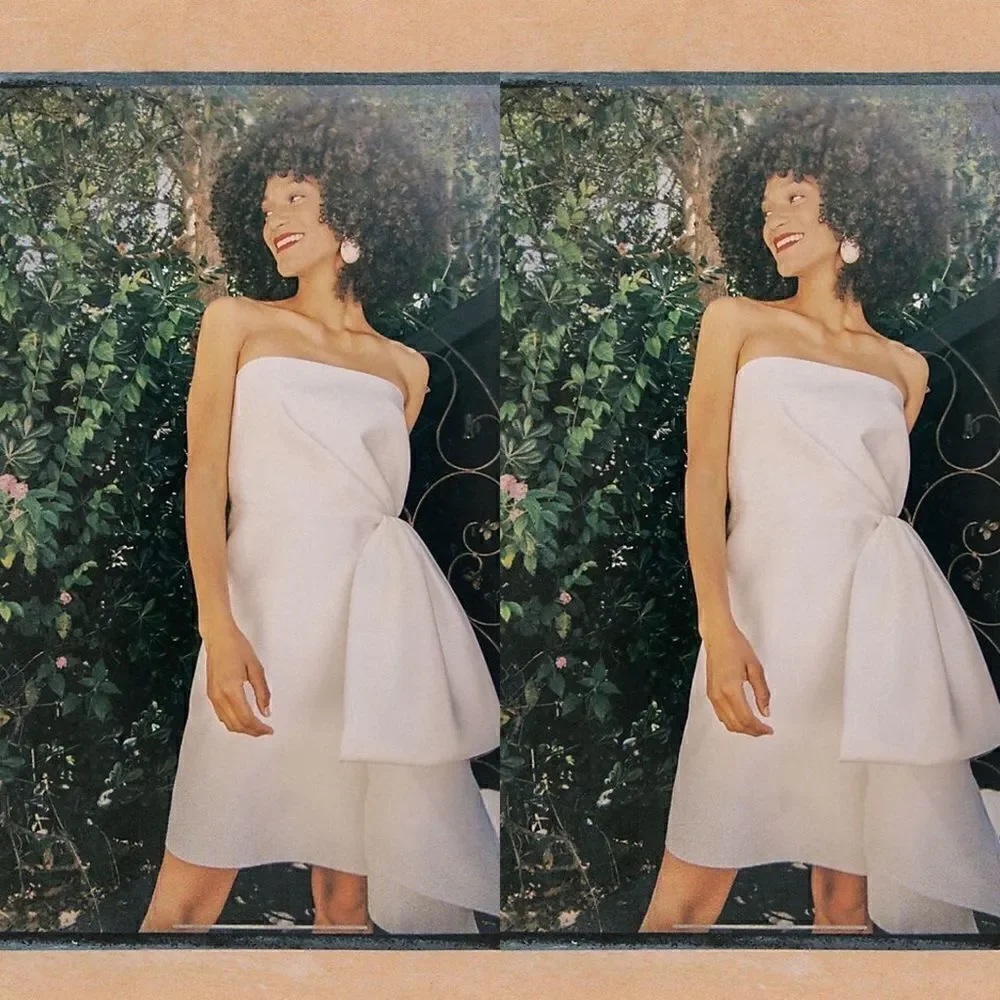 New BHLDN Sachin & Babi Verdance Dress